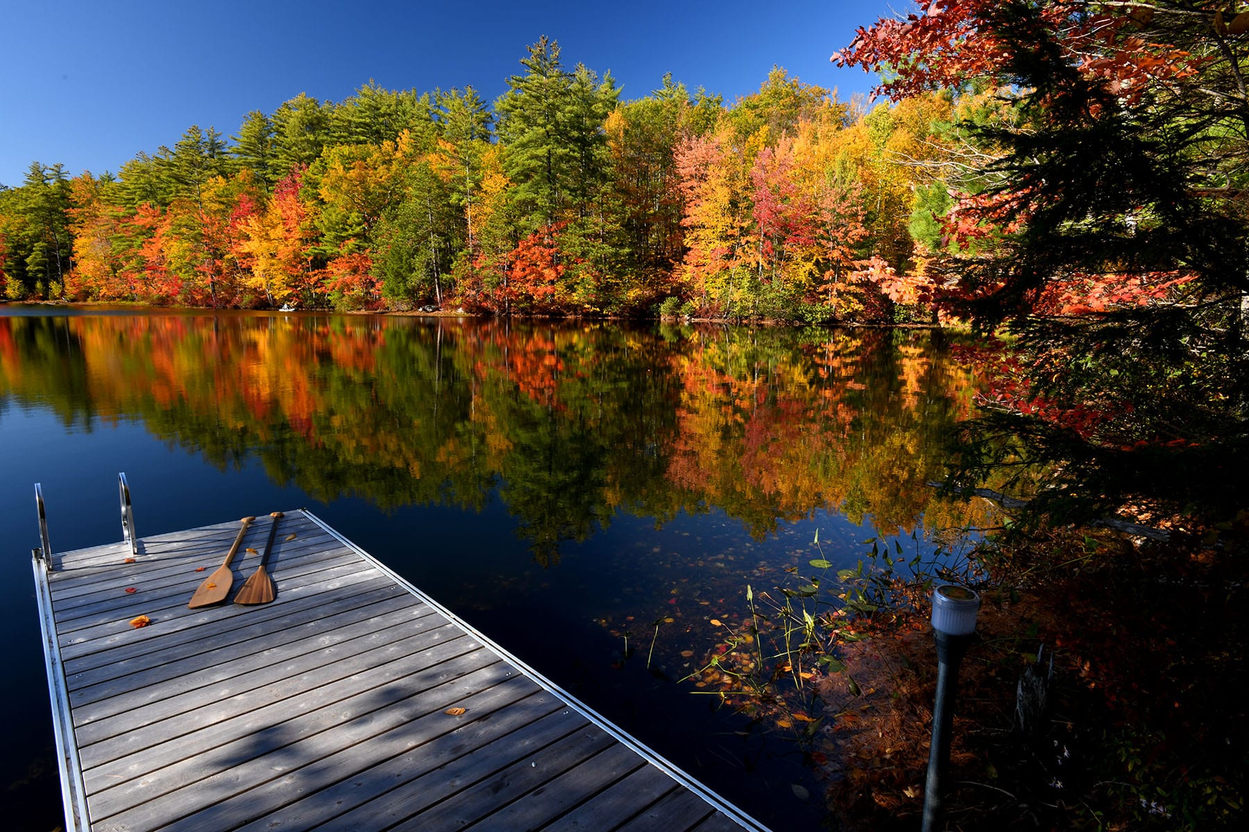 Fall dock w paddles ls
