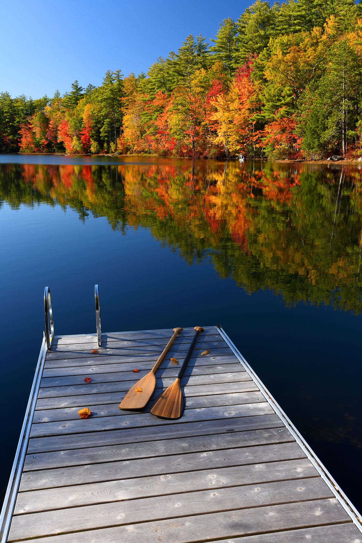 Fall dock w paddles