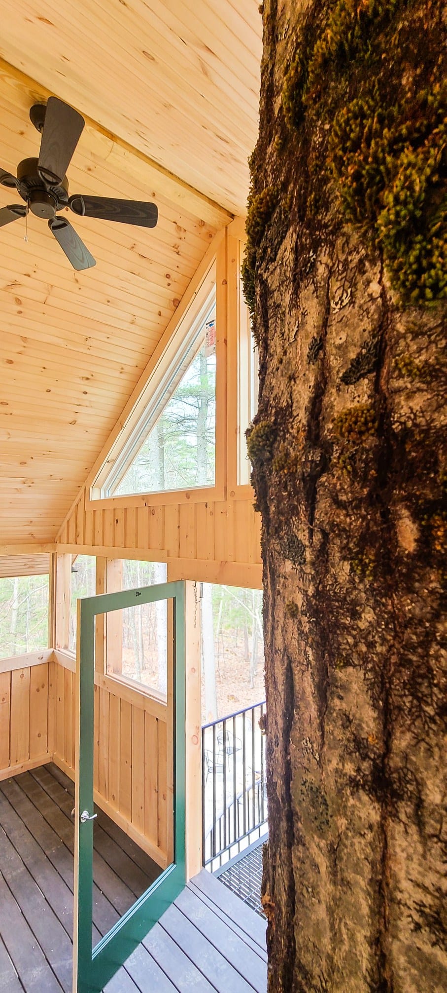 natural details in the cliff house