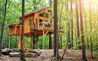 Sustainable Travel: Tiny House Vacation Rentals for Eco-Conscious Travelers