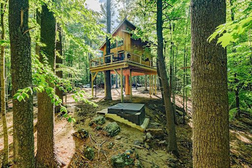 Tree house in the woods
