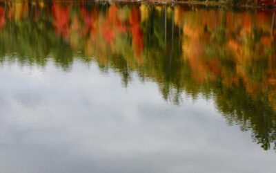 Maine Fall Foliage Guide: Where and When to Go Leaf Peeping