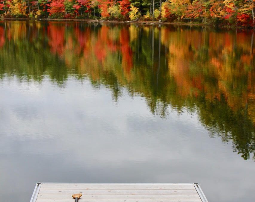 Maine Fall Foliage Guide: Where and When to Go Leaf Peeping